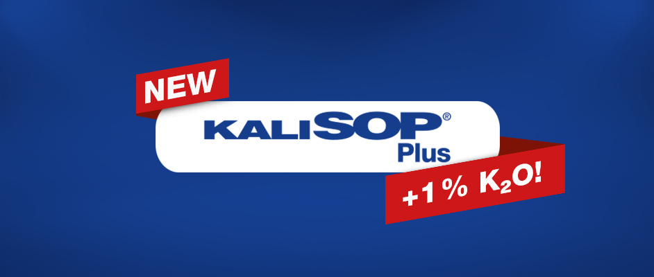 Kalisop Plus